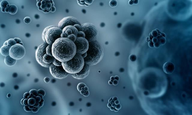 Listede bulunan di�er alanlar ise mikrobiyom, solid-state ak�ler, Iot g�venlik (internete ba�l� cihazlar ve a�lar�n g�venli�i), 5G a�lar ve malzeme teknolojileri olarak s�raland�.