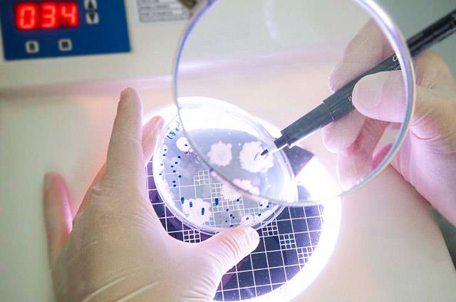 4-Gen m�hendisli�i: 5 y�l i�inde genomlar �zerinde �al��malar 7 kat artt�