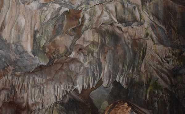 Yksekova ilesinin Esendere beldesindeki ok Programl Anadolu Lisesi bnyesinde kurulan Daclk ve Doa Sporlar Kulb'ne ye 21 renci, terrden temizlenen Dalca blgesinin Yeilta kyne doa yry gerekletirdi.