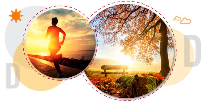 "Modern toplumlarda biz artk baheli mstakil evler yerine apartman dairelerinde yayoruz. Hafta sonlar ak alanlara gitmek yerine alveri merkezlerine gidiyoruz. Dolaysyla gnee maruziyetimiz olmuyor. D vitamininin sentezi iin de gnee maruz kalmak art. Biz besinlerle yeteri kadar D vitamini alamyoruz. Modern toplumda bunu baaramyoruz"