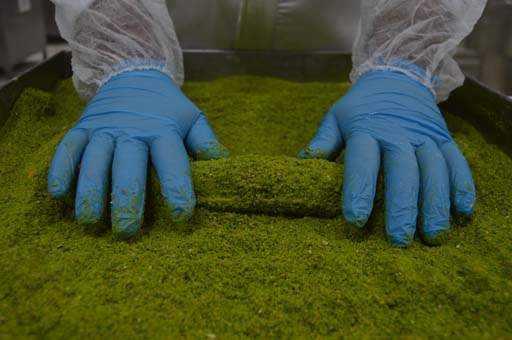 Firmalarnn retimini yapt 300 eit lokumun yan sra Ar-Ge almalarn srdrdne deinen akc, unlar kaydetti: "ngilizler vegan ve tropik meyve aromal lokumlarmza byk ilgi gsteriyor. Birleik Arap Emirlikleri ve Katarllar da fndkl, Antep fstkl ve bademli rnlerimizi beeniyor. Bu eitlerimizi artrmak ve mteri portfymz gelitirmek adna Afyon lokumunu tm dnyaya tantmaya devam edeceiz. Ayrca yakn zaman diliminde Almanya'da dnyann en byk ekerleme fuar olan ISM'ye katlarak Trkiye'yi temsil edeceiz."