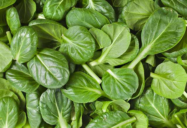 Ispanak ierisinde bol miktarda demir ve C vitamini barndrr. Ayn zamanda kalorisi olduka dk olan bu sebze baklnz glendirmenize yardmc olarak, gribi engeller.