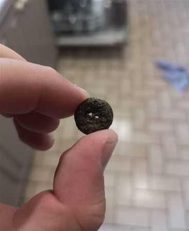 inde bir metal dme buldular. Bu ilk bulduklar eydi. Daha fazla ey bulacaklar konusunda umutlar artmaya balad.