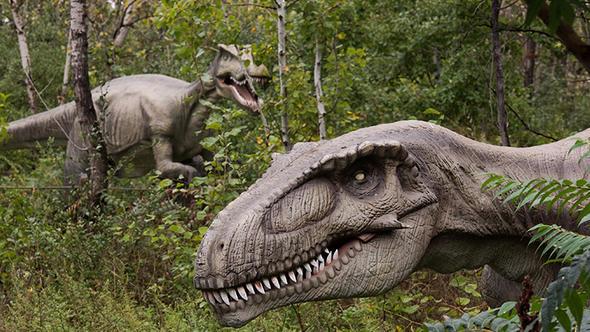 Deerli ta uzman Brian Berger Instagram hesabndan yaklak 1 yl nce Endonezya'nn Java Adas'nda satn ald opal tann fotorafn paylat.