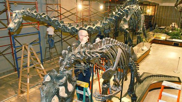 Fakat opalin volkanik oluumla ortaya kt Endonezya'da amber maddesinin opale dnmesi olduka sra d bir durum olarak ifade ediliyor.