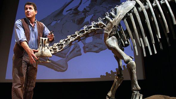 Uygun artlar oluursa zaman ierisinde bu sv copal ad verilen yumuak maddeye dnyor.