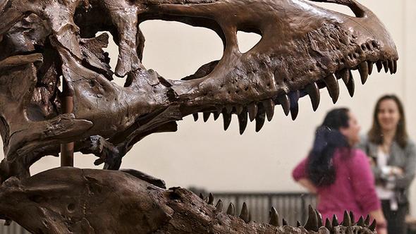 Keif, ABD'nin Kaliforniya eyaletinde yer alan Amerika Deerli Ta Enstits tarafndan yapld.