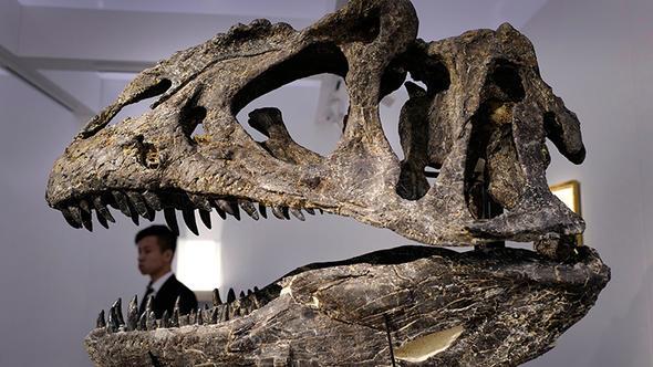 Gerek opal olup olmad aratrlan tan gerek olduu ve ierisinde son derece iyi korunmu bir bcein bulunduu tespit edildi.