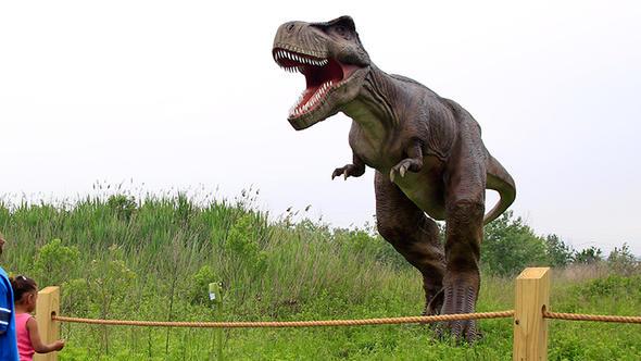 Opal madde ierisindeki bcein, antik canllar tekrar dnyaya getirmek amacyla kullanlp kullanlmayaca hakknda bir aklama yaplmad.