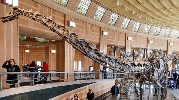 Bu maddenini ierisine hapsolan canllarn formlar bozulmuyor.