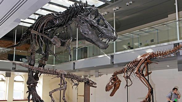 Uzmanlar konu hakknda daha ok aratrma yapacaklarn belirtiyor.