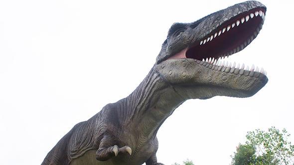 Filmde amber ierisinde kalan bir sivrisinekten elde edilen DNA ve kurbaa rnekleri ile dinozorlar tekrar bir adada retiliyordu.