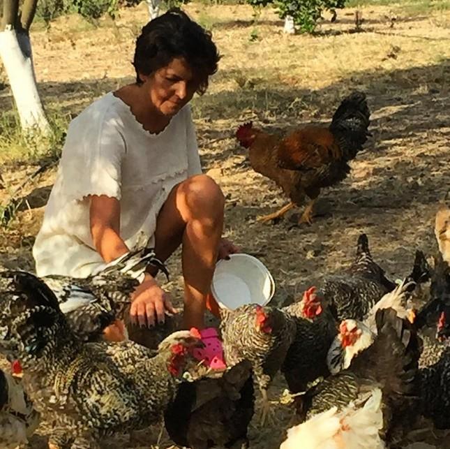 zerinde zeytin aalar bulunan araziye 'gen gl' anlamna gelen 'Torlak iftlii' adn koyan Portakal, yllardr srdrd ehir hayatndan tarm ve toprak hayatna gei yapt. Armaan Portakal, ilk olarak var olan zeytinlerin yanna yenilerini dikti. Tavuk yetitirip arclk yapt.