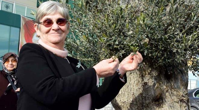 "HAYVANSAL YALAR TKETMEDEN NSAN BEYN ALIMAZ"   Su duyurusunda bulunurken bana hakaret ediliyor. Su duyurusu savcla yaplr. Tabipler Birlii savc olarak alyor. Tabipler Birlii demesi gerekir ki, "Bu bizi ilgilendirmez savcla bavurun" demesi lazm. Veganlk, vejetaryenlik ayn deil. Veganlar tamamen insan doasna aykr oluyor. Yalnz baklagillerle, kuruyumele besleniyorlar. Doal salkl hayvansal yalarn ve hayvansal proteine ihtiyac var insann. Hayvansal ya olmadan beyin almaz.