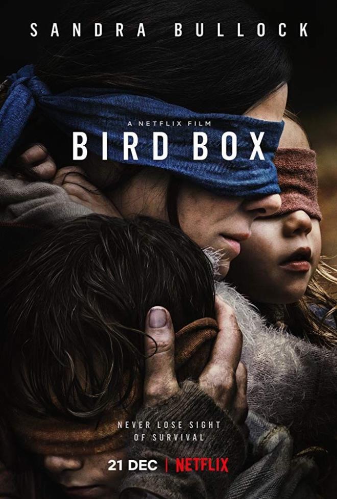 15. Bird Box (2018)  6,7