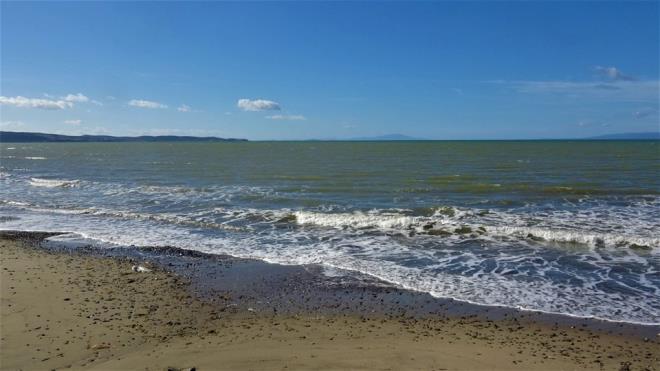 Denizin yzeyi kahverengi, mavi ve yeil renklere brnd.