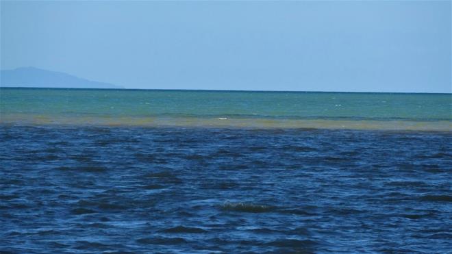 Kazdalar ile Madra Da'ndaki dere ve aylardan tanan amurlu sular, krfezde denizin renginin kahverengiye dnmesine neden oldu.