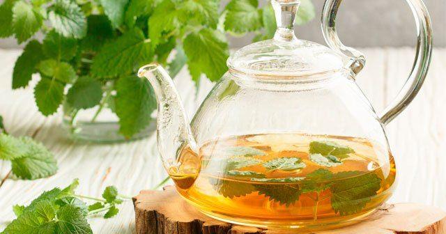 MELSA AYI  <br>  Gnde iki bardak tketilen melisa ay, sindirimi kolaylatrr. Ayrca hormonlar dengeleyen ay, ieridii vitaminler sayesinde vcudu sakinletirir ve ba arlarn azaltarak vcudun rahat bir uyku ekmesine yardmc olur.