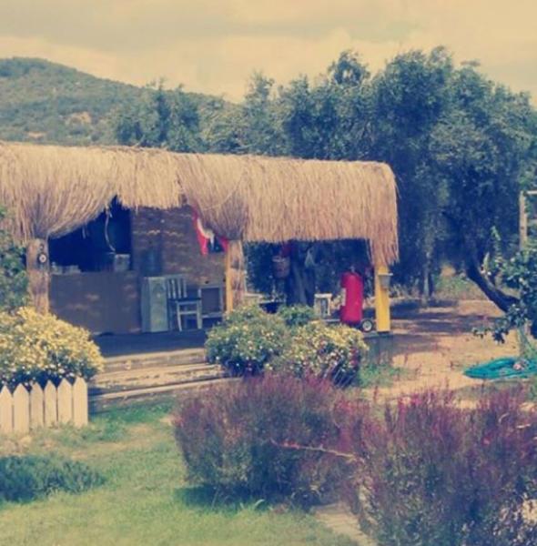 nk gittikleri yer kalabalk, kimsenin birbirine anlay gstermedii, insanlarn mutsuz olduu bir yer. Bir de herkesin elinde telefon, sohbet etmeyi unuttuk. Ben akas stanbul&#8217;a geldiimde telefona bakyorum. Asos&#8217;a dndmde de sadece alarsa bakyorum.