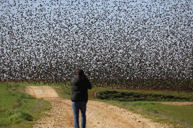 Grsel lene tank olan fotoraf tutkunlar bu an lmszletirmek iin oluan manzaray kaydetti.