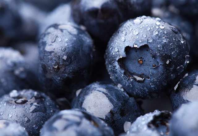 Yaban mersini ierisinde yalanma kart antioksidanlar bulundurur. Yalanma belirtilerini en aza indirmek istiyorsanz gnlk beslenmenizden yaban mersinini eksik etmeyin.