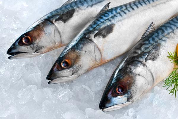 HIZLI YAYILIYOR: Ayrca bu enfeksiyon vcudun her yerine olduka hzl yaylr. Bu durum da hastann ok geirmesine neden olur. Organ yetmezliine bal lm meydana gelebilir.