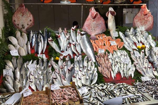 BELRTLER NELERDR?: Bu bakteri vcuda bulatktan 24 saat ierisinde etkisini gsterir. 30 saatti getii durumda ise iddeti artar. Kzark, morarma, imi blgeler, vcut ssnn 5 kat fazla olmas, titreme, mide bulants, yeil kusma ve ishal gibi belirtilerle kendini gsterir.