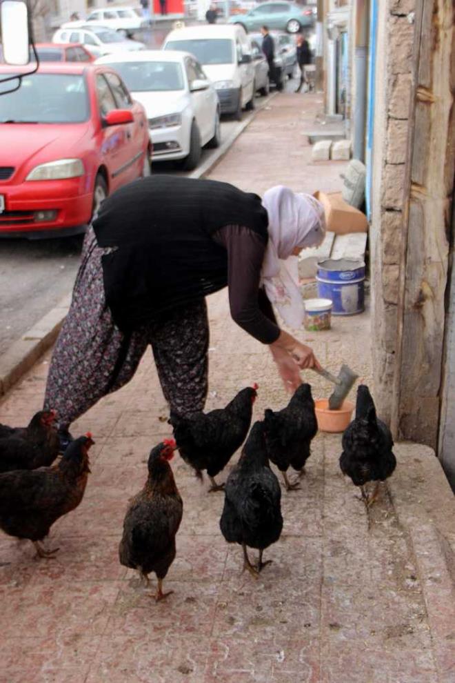 te yandan 31 Mart seimlerinde yaad mahalleye muhtar aday da olduunu aktaran Emsal Tekir; "uanda zmirli mahallesinde muhtar adayym. nallah Allah&#8217;mn izniyle olacak. Tepkiler ok gzel, kimsenin kalbini bilemem ama bana gre bir bayan olarak tepkiler ok gzel" dedi.