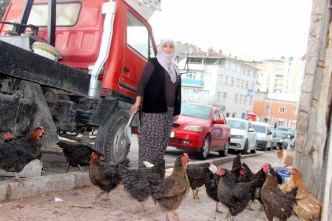 Yarma programlarn ok sevdiini, her izlediinde o koltukta oturmak iin dua ettiini szlerine ekleyen Emsal Tekir konumasn yle srdrd; "Daha nceden yarma program izliyor muydunuz? &#8220;Ben programa bavurduumda sordular, &#8216;Emsal teyze yarmay izler miydin&#8217; diye. Ben bu gittiim yarmay ok severdim. Her seyrettiimde derdim ki &#8216;nallah o koltua ben otururum&#8217;. ocuklarm da &#8216;Anne a tavuk ryasnda dar grrm, sen dar ambarna dmsn&#8217; derlerdi. Nasip oldu. Ama bu yarmaya kal ka sene oldu ama gerekten sanki akam kmm gibi."