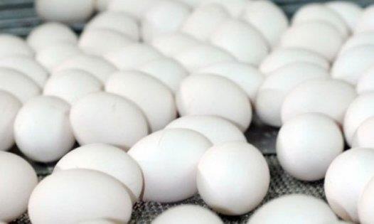 �inko, B vitamini, iyot, omega- 3, ya� asitleri ve protein i�eren yumurta, enerji kayna�� oldu�u gibi karn�n�z� da tok tutar. O y�zden kahvalt�larda yumurta t�ketilmesi tavsiye edilir.B�y�k bir yumurtada 4,5 gram civar�nda ya� bulunur.Bunun 1,5 gram� doymu� ya� asitleri, di�er k�sm� ise, doymam�� ya� asitleri �eklindedir. G�r�ld��� �zere yumurta, kalp-damar hastal�klar� i�in risk fakt�r� olan doymu� ya� asitlerini d���k oranda i�erir ve toplam ya� miktar� d���kt�r.