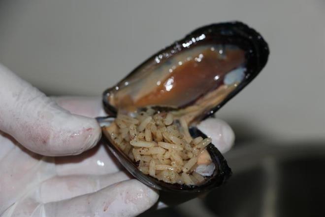 Kilo alma korkusuyla midye dolma yemekten ekinenlere ynelik, basmati tr pirin kullanarak &#8216;diyet midye&#8217; yapan Takak, siparilere yetimekte glk ektiini syledi.