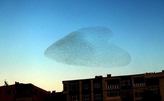 Gkyznde yaklak bir saat grsel len sunan srcklar, daha sonra gzden kayboldu.