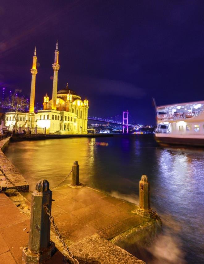 stanbul'un sembol yaplarndan 15 Temmuz ehitler Kprs, Fatih Sultan Mehmet Kprs ve Yavuz Sultan Selim Kprs, Dnya Epilepsi Gn dolaysyla mor kla aydnlatld.