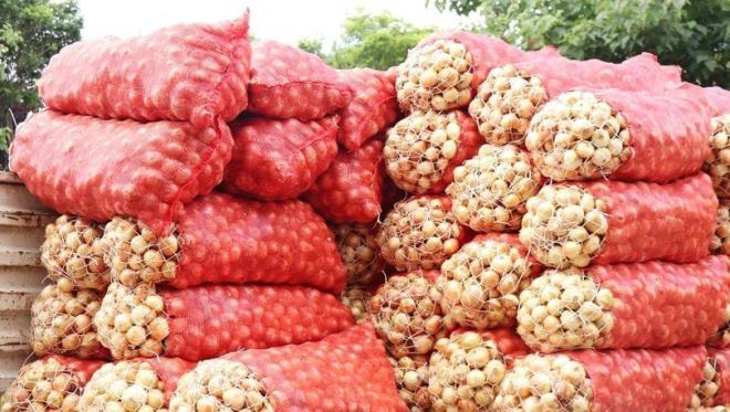 Girdi maliyetleri drlmeli, doal afetlere kar nlemler alnmal, rnn tketiciye ulatrlmasnda yaanan skntlar zlmeli, uzun vadeli tarm politikalar oluturularak retici desteklenmeli, retim planlamas yaplmal, kooperatifilik gelitirilmeli"