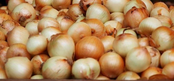 Tanzim satlarn geici zmler olduunu belirten Gngr, "Tarmn sorunlar zlmeden gda fiyatlar dmez. retici girdi maliyetleri, doal afetler, retim planlamas yaplmamas gibi nedenlerle fiyat dalgalanmalarn her dnem yaayacaz" dedi.