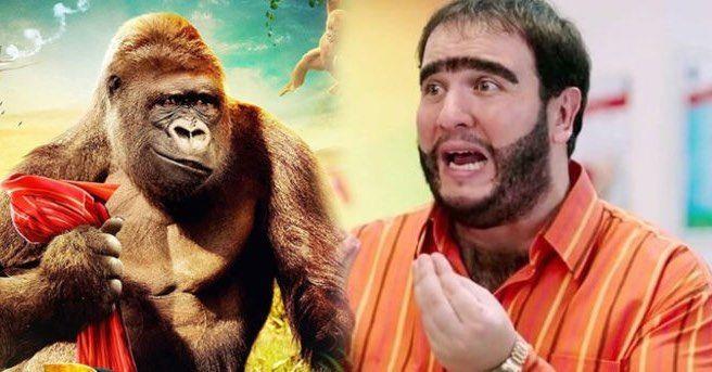 Cem Y�lmaz ise "Y�lmaz Erdo�an'�n Organize ��ler Sazan Sarmal� filminin Netflix'e sat�lmas� hakk�nda, "Benim de haberim yoktu, ben de g�r�nce �a��rd�m" dedi.