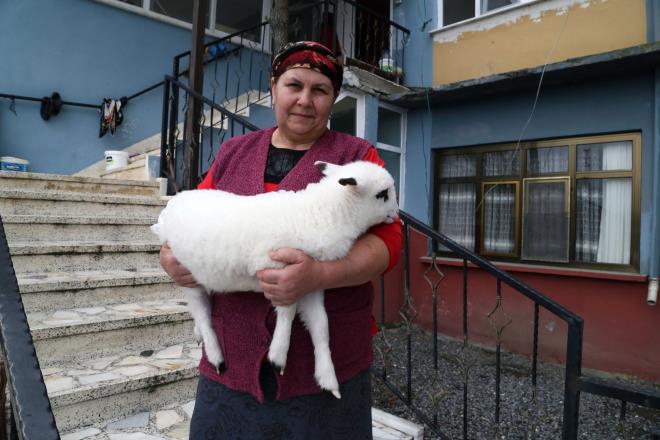 Her gn ortalama be kez bezini deitiriyorum. Biberonla karnn doyuruyorum. Her sabah ykyorum, fn makinesiyle tylerini kurutuyorum, tarakla taryorum. Ynlerini taramam ok houna gidiyor.
