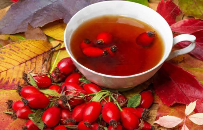 Kuburnu ayn da kn ok fazla tketiyoruz bu ay da ok fazla iildiinde alerjik reaksiyonlara neden oluyor. Ekinezya ay da karacierden itrah edilen bir aydr. Bu yzden doum kontrol, kolesterol ilac gibi karacierden itrah edilen ilalar kullanan hastalarda yan etkiye neden olabilir. Miktarn az tutmak gerekir, ok kullanm bu ilalarn yan etkisinin artmasna neden olacaktr.&#8221;