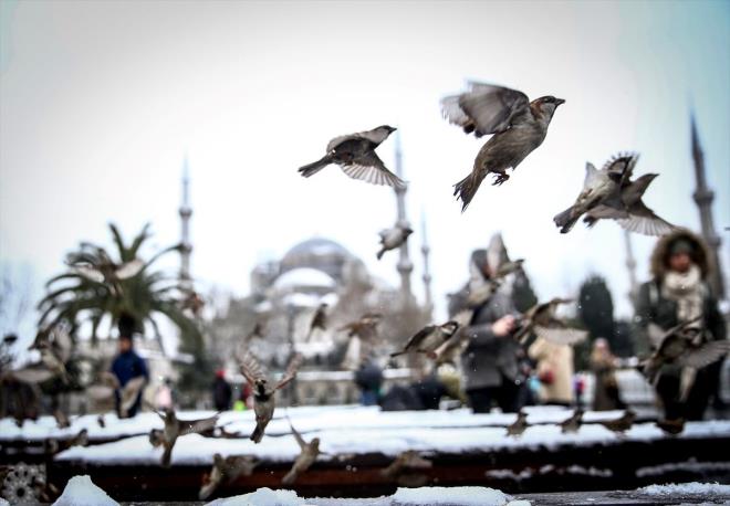 Kresel snmann hava olaylarna etkisine dikkati eken "Dnya geneli 2018 yl ortalama scakl, 1880 ylndan bu yana llen en scak 4. yl olarak kaytlara geti. En scak dier yllar ise srasyla 2016, 2017 ve 2015 yl oldu. stanbul havas ehirlemeden dolay ehir s adas etkisi sebebiyle etrafna gre biraz daha scaktr.