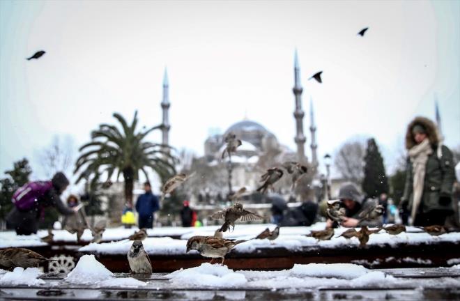 1880'den bu yana en scak drdnc yl:  Prof. Dr. Toros, kresel snma ve ehirleme sebebiyle oluan ehir s adas etkisi sebebiyle de bu yl stanbul'da etkili bir kar ya yaanmadn anmsatt.