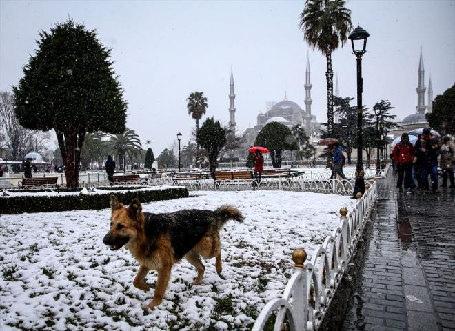 ehir s adas etkisi ad verilen, binalar, asfalt yollar gibi deien arazi rtsnn snn daha fazla tutulmasn salayan olaya dikkati eken Toros, "Ayrca insan faaliyetleri sonucu aa kan enerji de ehirlerde scakln ehir dndaki ortamlara gre daha fazla olmasn tetikler. Genellikle scaklk fark geceleri gndze gre daha byktr. Rzgar zayf olduunda daha ok hissedilir." diye konutu.