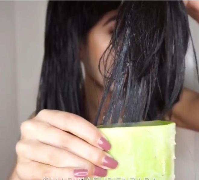 Sa bakmnda: Aloe vera sa dklmesi tedavisinde ok etkilidir. Sa derisindeki l cilt hcrelerini onararak yeni sa bymesini tevik eden enzimler ierir. Yapraklar boyuna kesin. 2 tatl ka aloe jeli, 2-3 yemek ka hindistan cevizi ya ve 1-2 yemek ka bal kartrn. Sa derinize ve sanza uygulayn 40 dakika bekletin. Durulayn ve sanz her zamanki gibi ykayn.