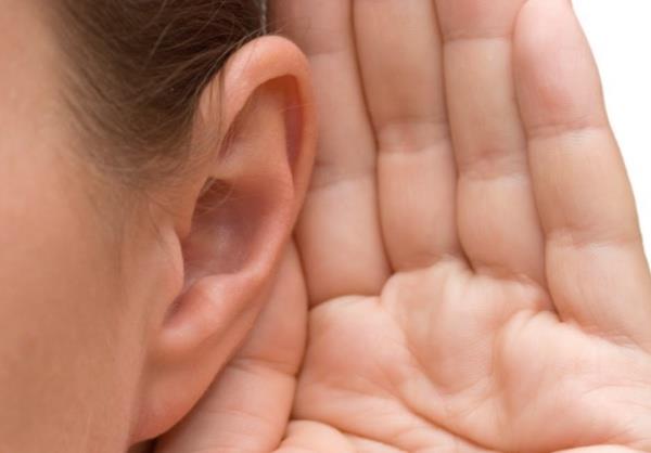 Kulak Damlas: Baz kulak damlalar kulak iin zararldr. rnein, Gentamisin etken maddesi tayan kulak damlalar kulak iin zararl etkiye sahiptir. Bu damlalarn rastgele ve bilinsizce kullanlmas kula zarar verir.