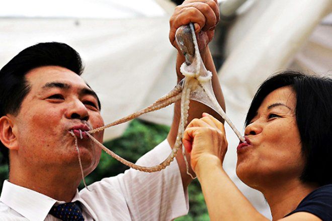 Kore'de alktan lseniz bile, nce evin en yalsnn yemesini beklemek zorundasnz. Aksi takdirde insanlar grgsz olduunuzu dnecek ve sizi bir daha yemee davet etmeyecekler.