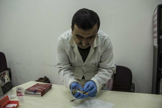 ler, bilimsel veri alanna katk salamak, bunu kayt altna almak iin olay renince hemen civcive ulatklarn kaydetti.