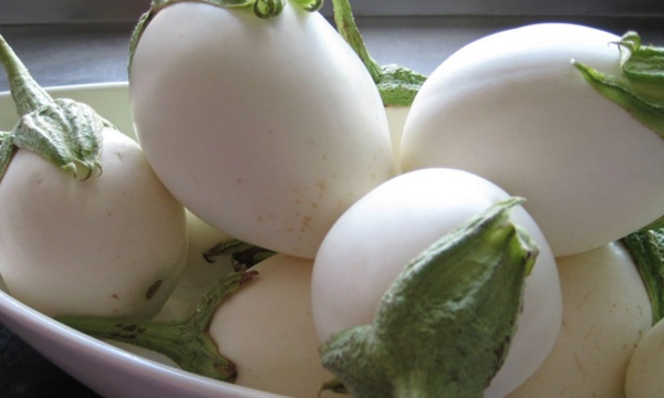 Ezilerek sa diplerine srlen yumurta iei hcrelerin glenmesini destekler. Ovularak sa diplerine uygulandnda burada yaanan hem dklme hem de kepeklenmenin nne geer. Salar daha parlak ve canl gsterir.