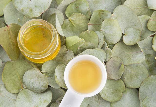 Okalipts: Gl bir anti oksidandr. Hcreleri serbest radikal hasarna kar korur; antibakteriyel ve antivirtik zellikleri vardr, ksrn hafiflemesine yardmc olur.    Gnlk: Gnlk zellikle nane ile kartrldnda ok iyi bir serbest radikal temizleyicidir. Hcre yenilenmesini destekler meditatif etkilidir. Sinirleri yattrr, stresi dengeler.