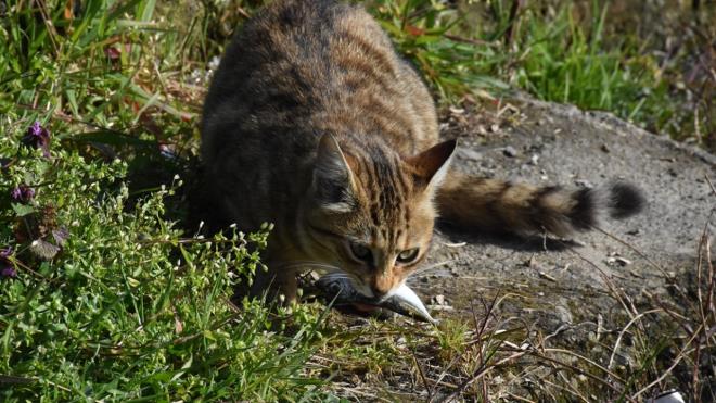 Yazkan, kadnlarn istedikleri her yerde, bask grmeden almalarn isteyerek, "Kadnlarn da bu ii onlardan daha iyi yapabileceine inanyorum. nk her eye sevgiyle yaklayorlar. Bana gre severek yaplan iler daha iyi oluyor." ifadesini kulland.