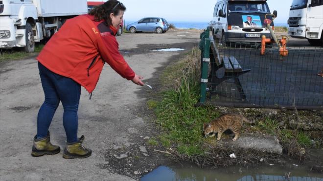 Balktan kedilere de pay ayrdklarn ifade eden Yazkan, "Aileler buraya balk almaya geldiinde kk ocuklar, burada hayvanlara balk vermek istiyorlard. Aileler de kzyordu, `Onu satyorlar, vermeyin` diye. Ben de bir gn nceden kalan ya da yaral, zedeli balklar kenara koyuyorum. ocuklar kedilere verip hem oyun oynasnlar hem de mutlu olsunlar diye byle bir ey yapmaya baladm. Bu ekilde de devam ettiriyorum." dedi.