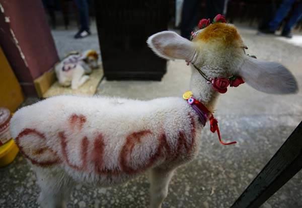 "YOLUN KAR�ISINA GE�ERKEN B�LE BEN� BEKL�YORLAR"